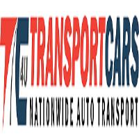 Transport cars 4U image 1